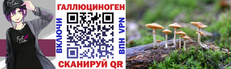 Галлюциногенные грибы Cubensis  Вельск 